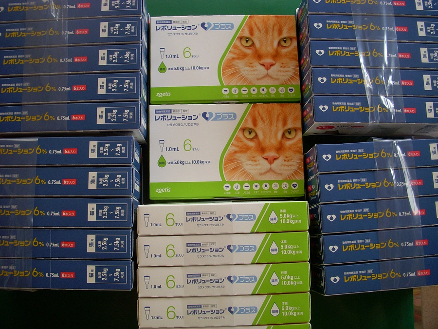 ‹‹\(´ω` ๑ )/››‹‹\( 　 ๑´)/›› ‹‹\( ๑´ω`)/››~♪入荷しました