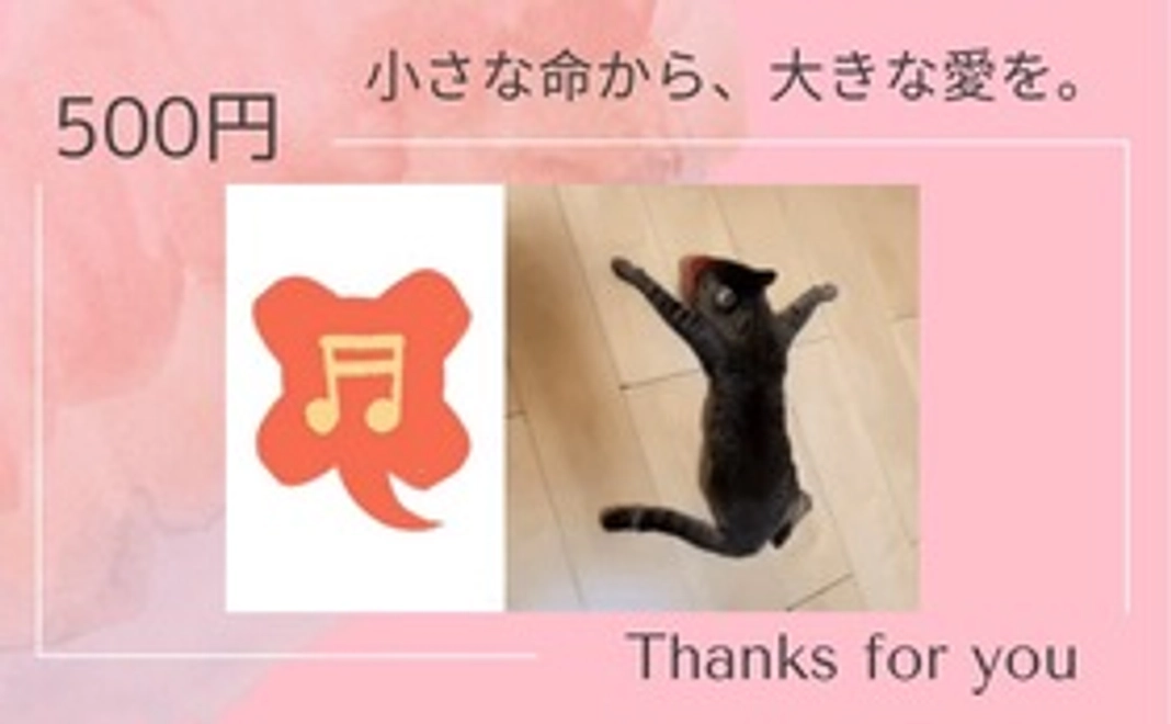 500円全額支援コース