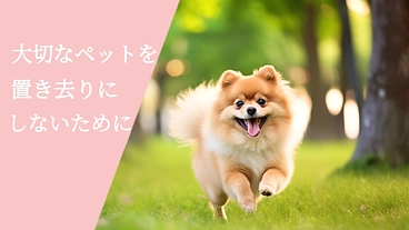 飼い主の孤独死からペットを守る新サービスを宮城県でスタートします！ のトップ画像