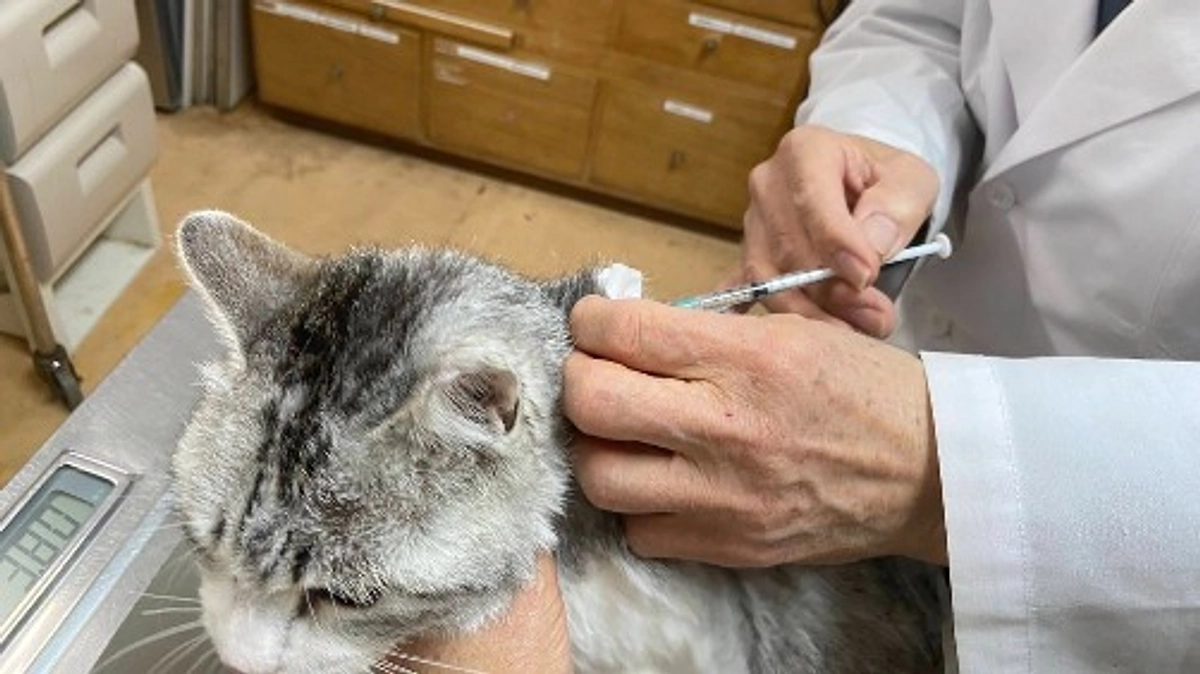 季節の変わり目