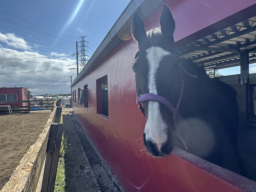 ここまで進みました！