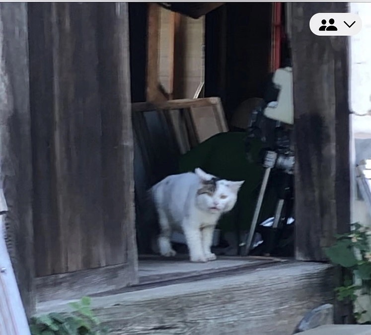 10日ぶりに姿を見せたゴッドマザー