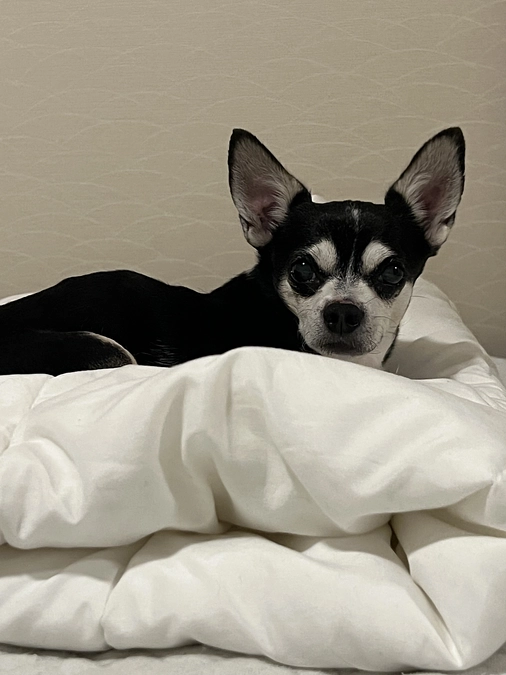 クラウドファンディング残り1日‼︎