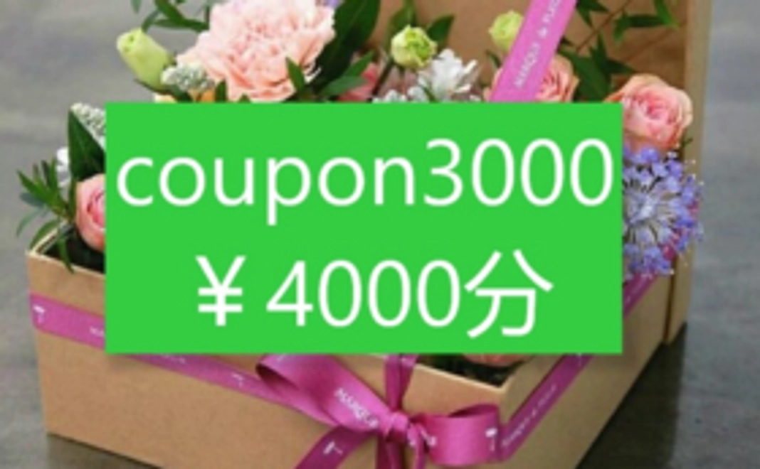 オンラインクーポン付与（4,000円分）
