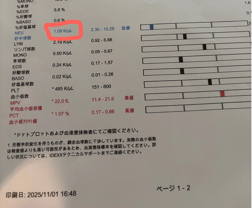 白血球が減っていて
