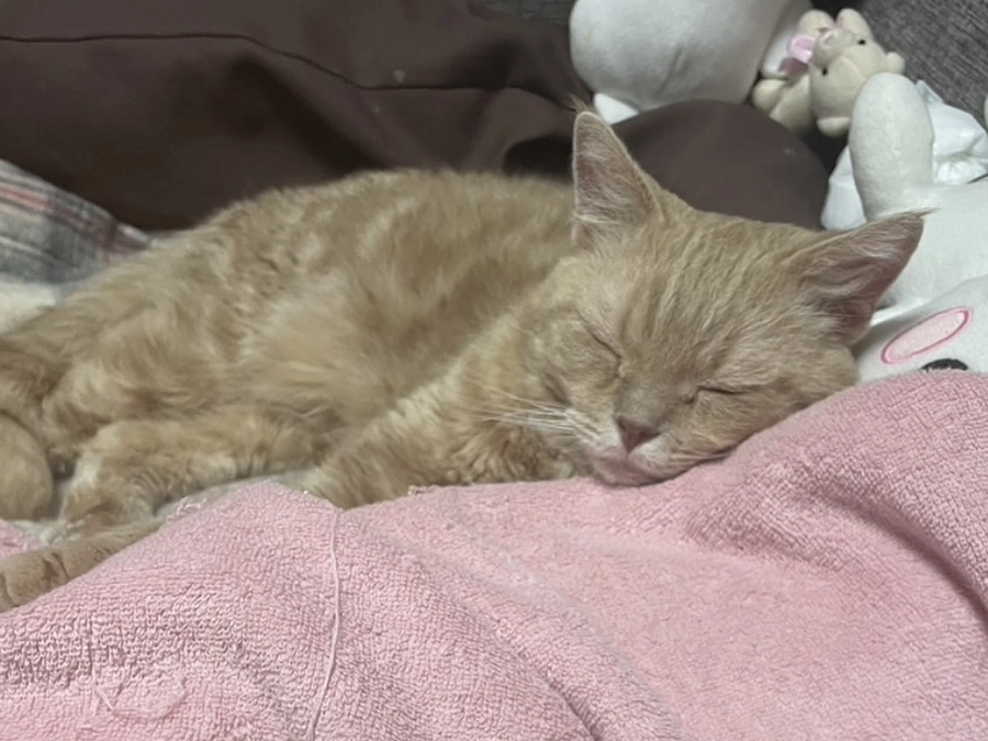 これまで17名の方から貴重なご支援を頂けました