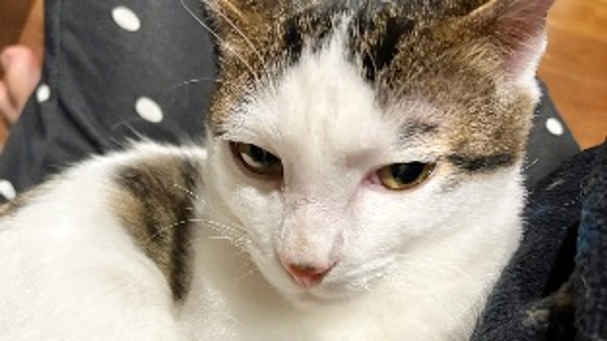 クラウドファンディング終了致しました！