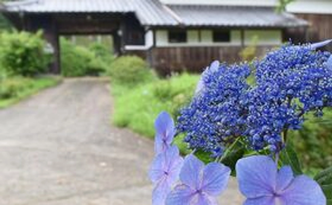 やたきやのありがとうセットA