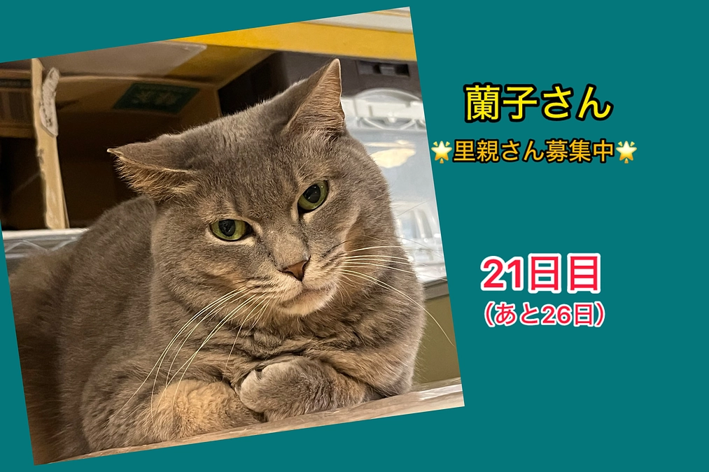 名付け親さんになりませんか?（3/5  21日目）