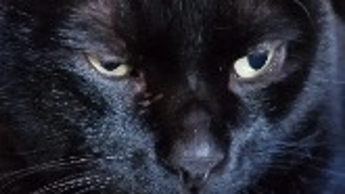 音に会いに行ってきました。