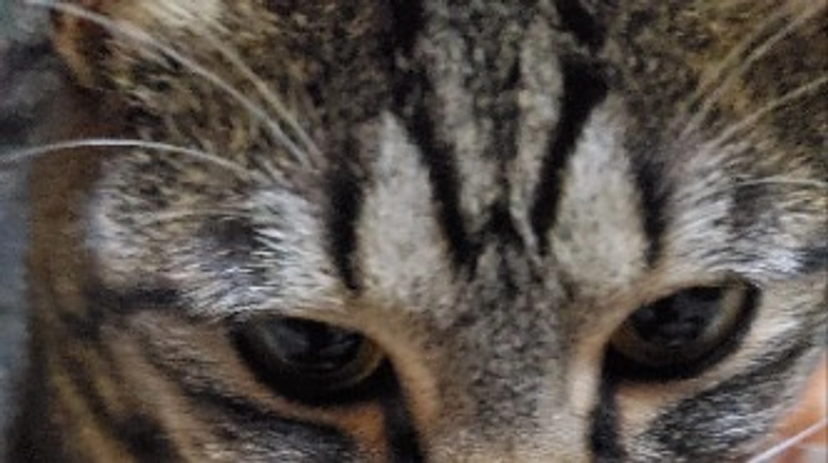 なんかあったな。②