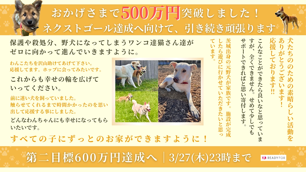 500万円達成！次はネクストゴール600万円へ！