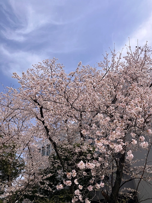 5/18（日）EXPO2025 大阪・関西万博へ出展します