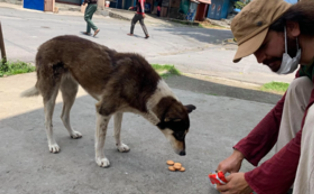 全額わんこの餌代にします！＋お礼のメールなど