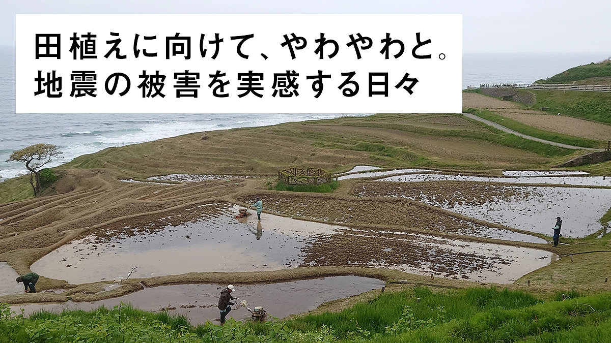 田植えに向けて、やわやわと。