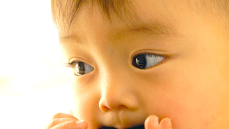 築50年『お産の家よつ葉』の硝子戸を修理して、安心できる場所に