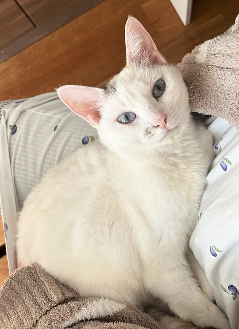 病気のはじまり...