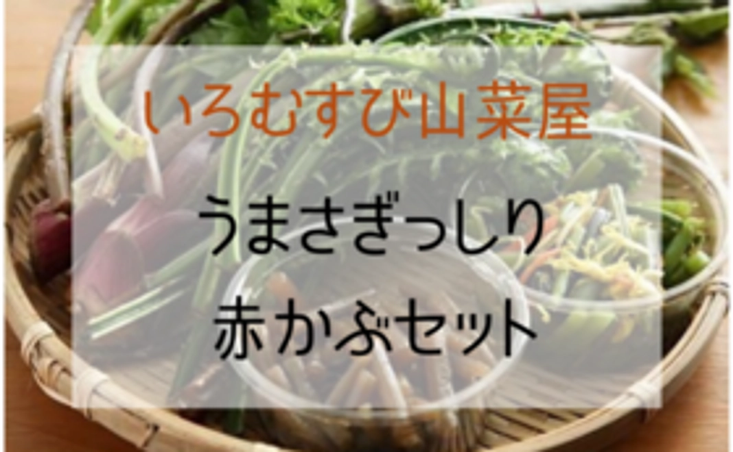 新潟村上「いろむすび山菜屋」うまさぎっしり赤かぶセット