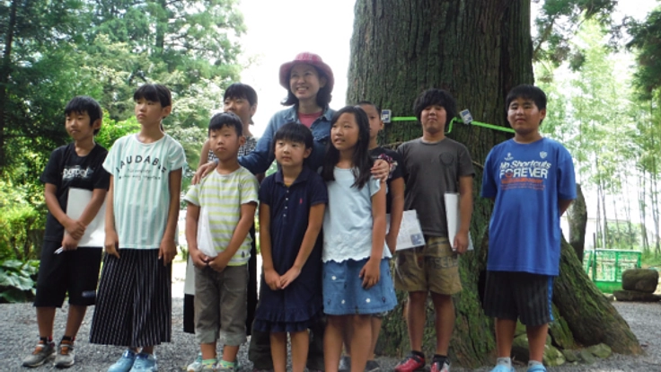 樹齢400年のご神木が危ない!阿蘇のご神木を守るプロジェクト