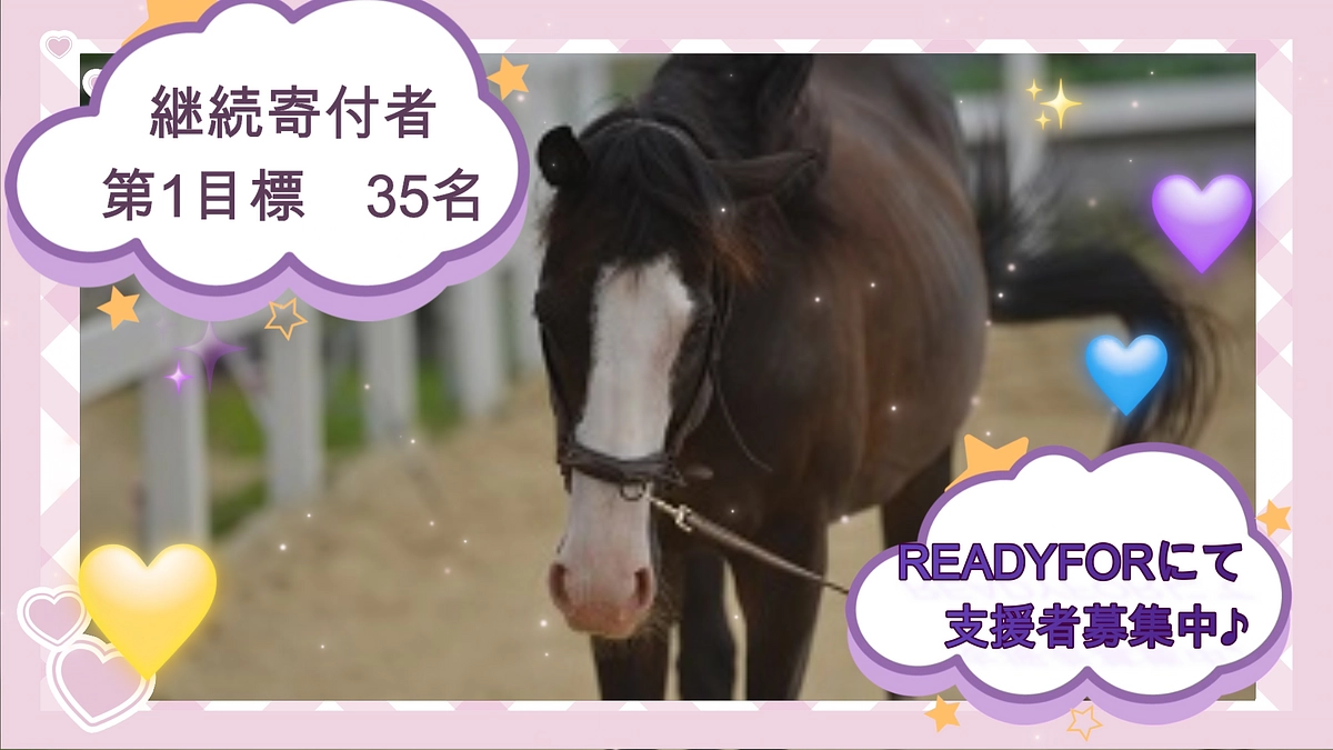 継続寄付募集開始いたしました♪