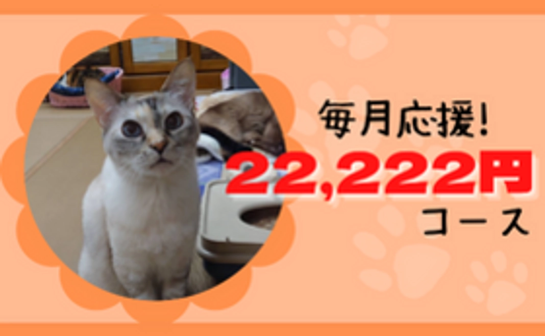 毎月にゃんにゃんにゃんサポーター!