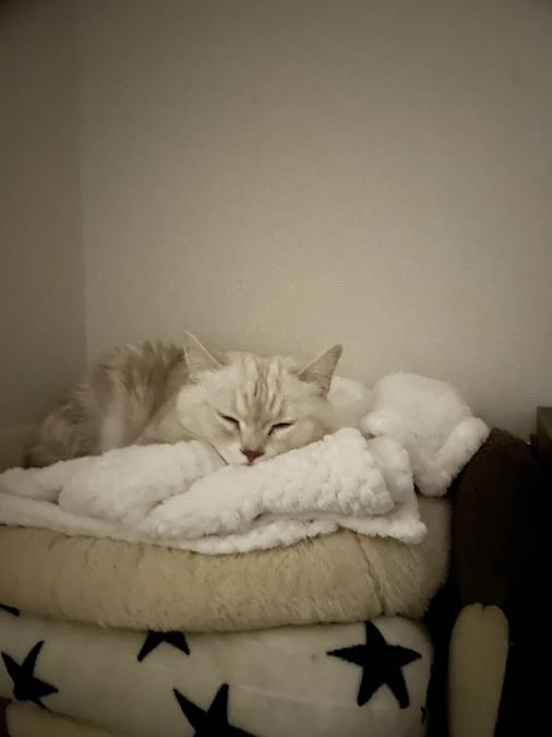 代理支援〜インターネットでの支援が難しい方へ〜