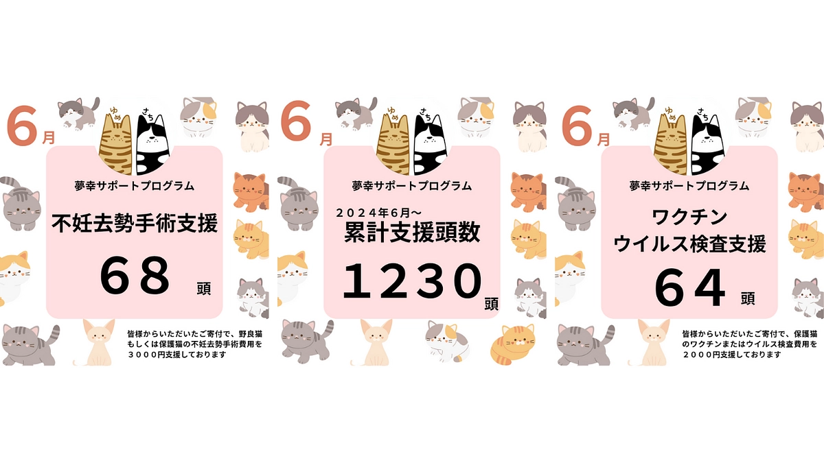 ６月も皆様のおかげで１３２頭の猫ちゃんに支援できました！