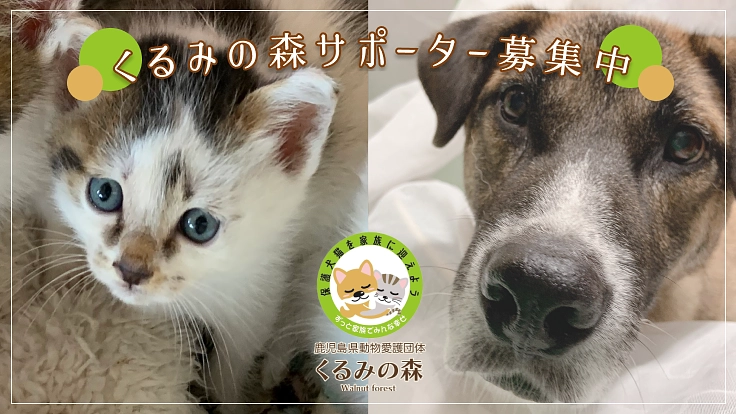 くるみの森サポーター募集｜人も犬猫も共に幸せになれる社会へ