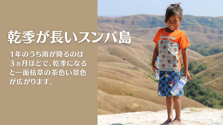 開発から取り残されたインドネシア・スンバ島の農村の人々を支援したい 2枚目