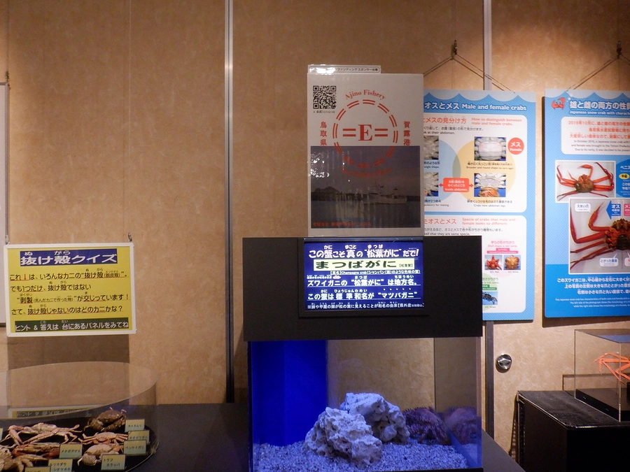 リターン始まっています！！