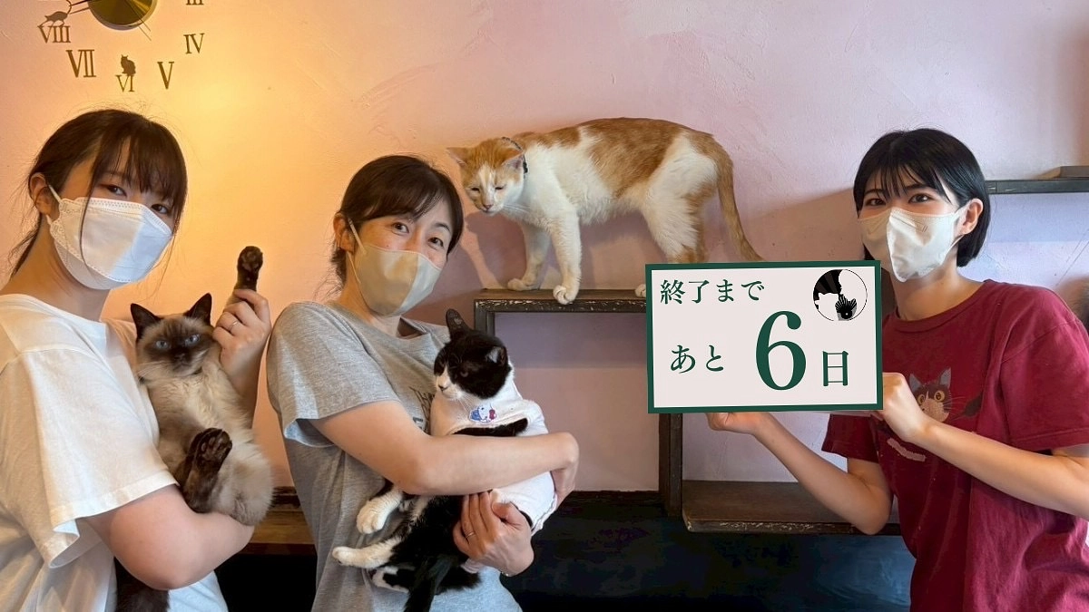 新店舗⑦あと8万円で『450万円』!