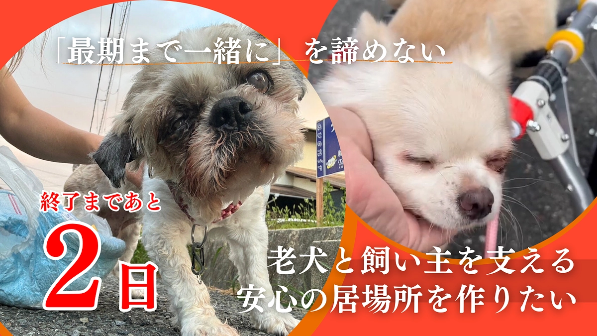【残り40時間】私たちの原点。「飼育放棄なんてさせない」この想いを実現したい。