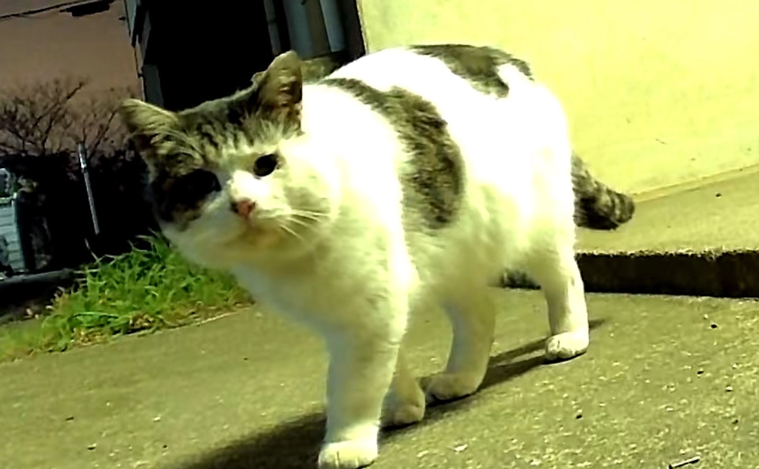 心からお礼のメール