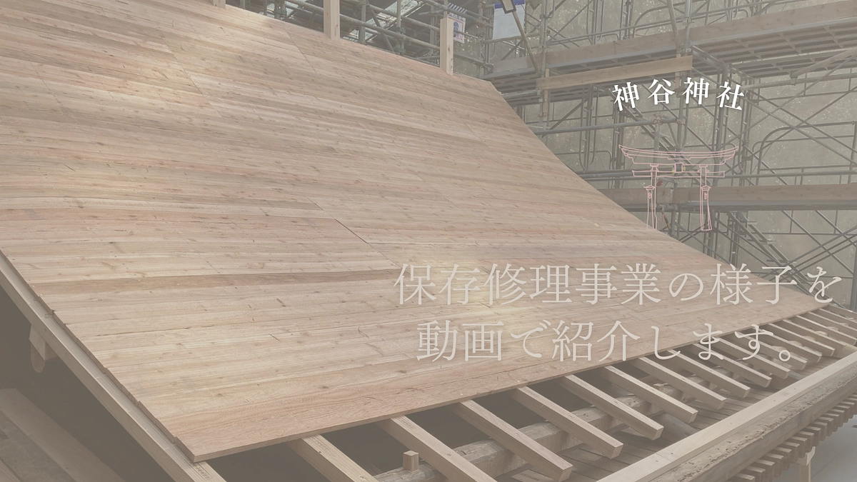 国宝神谷神社本殿建造物保存修理事業における記録映像の公開について（令和6年度）