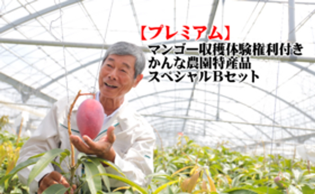 【プレミアム】☆マンゴー収穫体験権利付き☆かんな農園特産品スペシャルBセット