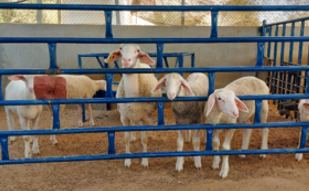 5,000円寄附コース