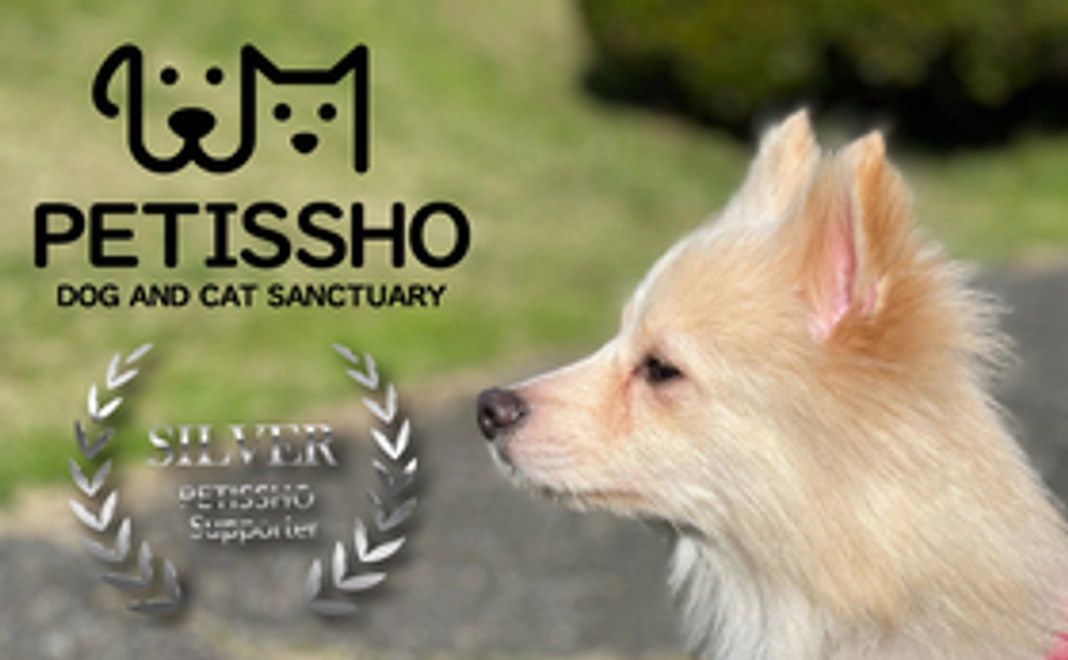 ペティッショ シルバーサポーター