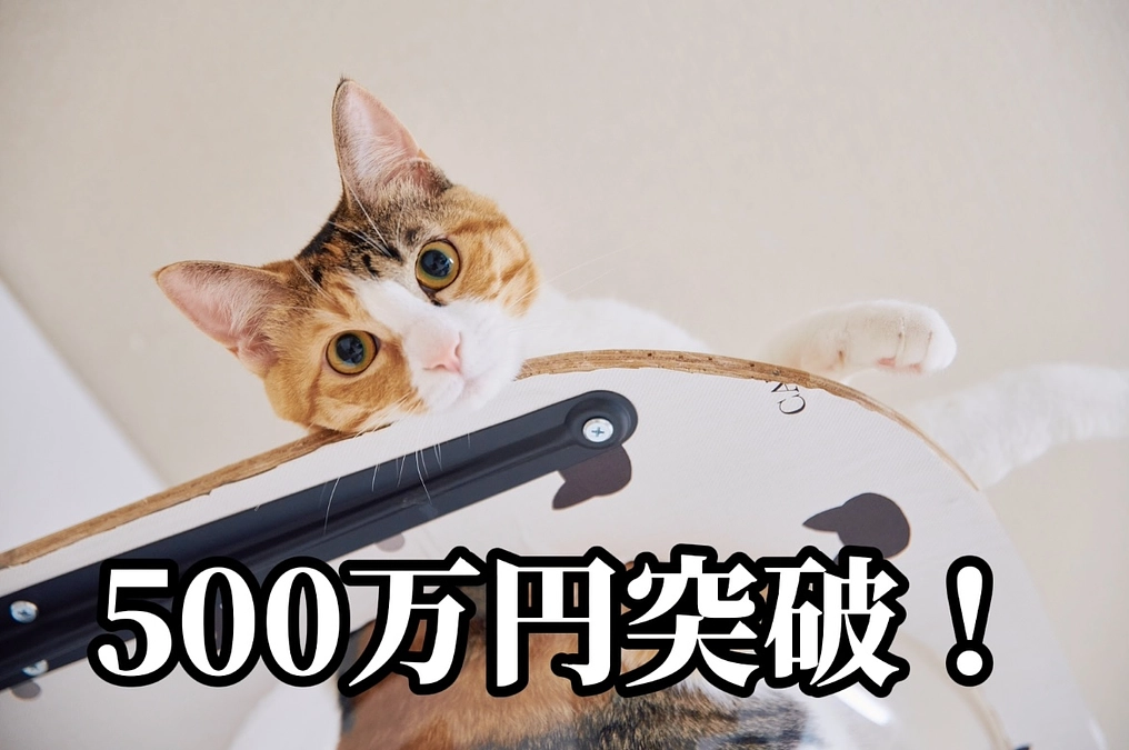 ３週間で達成率50%を突破しました！！