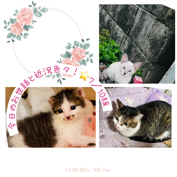 今日のお世話と近況色々！⭐️7／10版