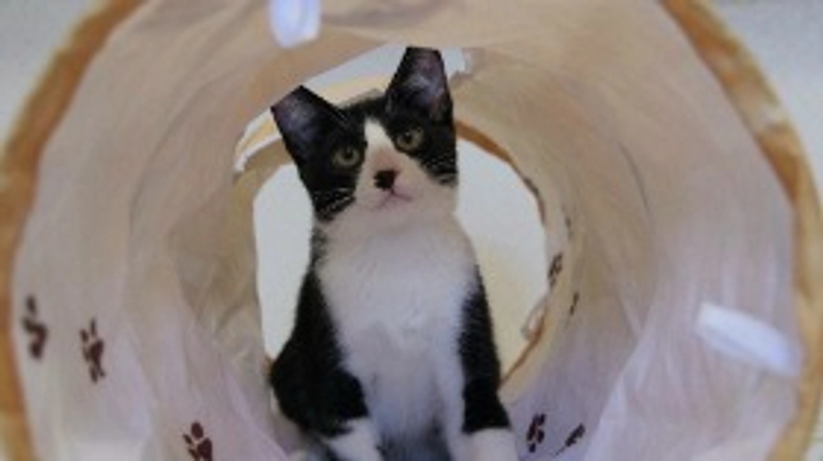 達成率80% 400,000円を突破しました！