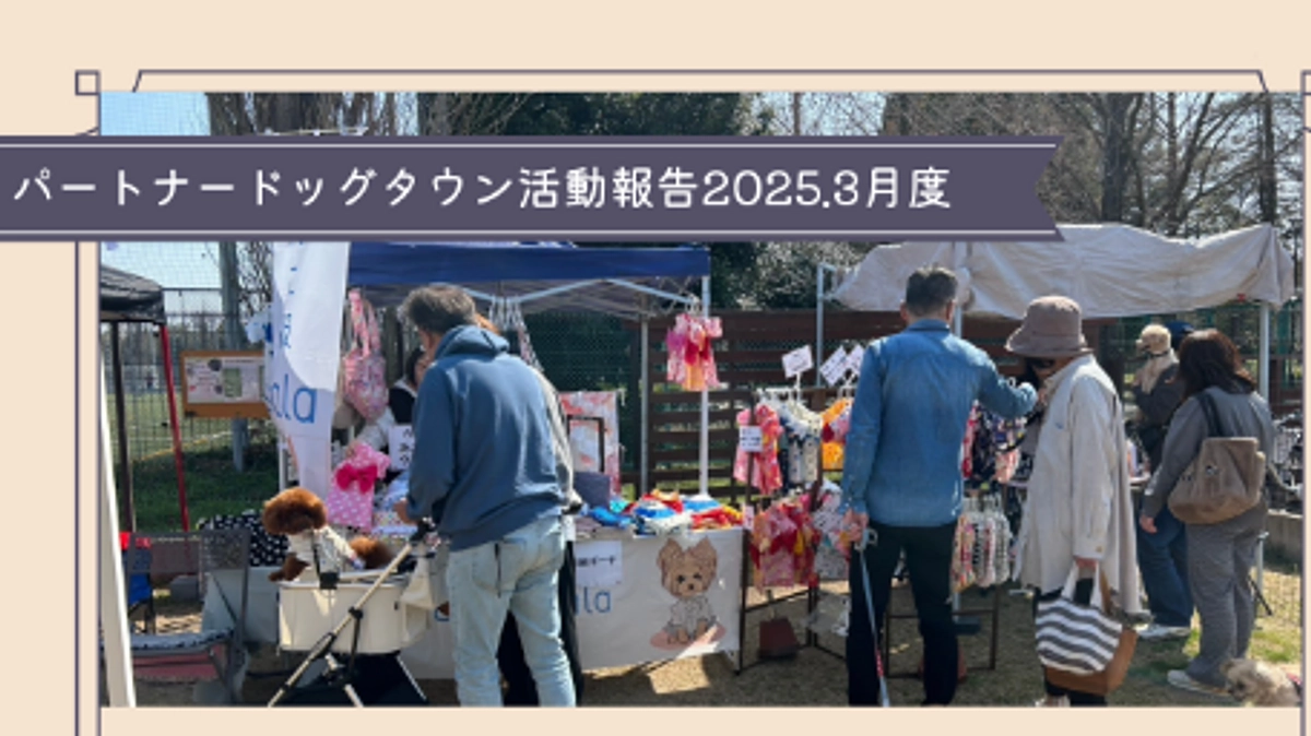 活動報告2025年3月度