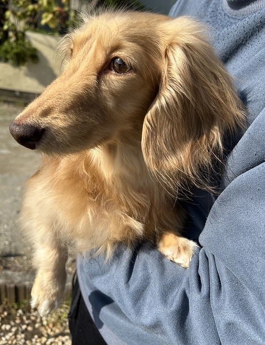 大学病院受診は良くも悪くも『変わりなし』