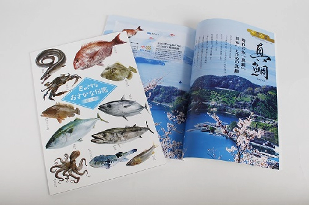 「Eのさかな　おさかな図鑑」寄贈についてご報告
