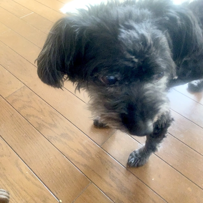 23時からインスタライブ参加します。