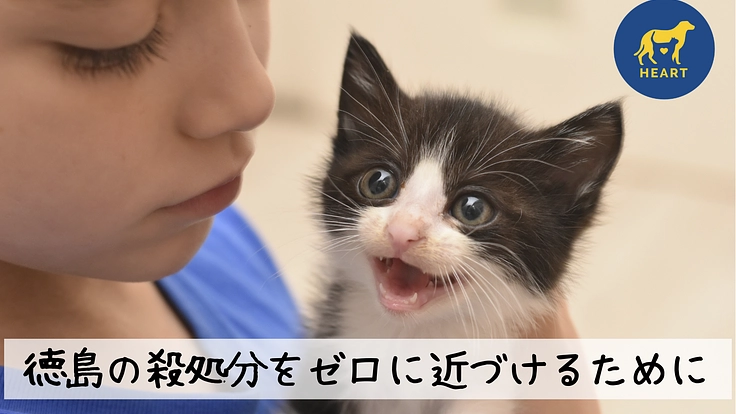 徳島県の犬猫殺処分数ゼロを目指して。HEARTの活動にご支援を！
