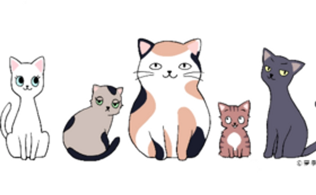 本部飼育施設での保護猫飼育体験（1ヶ月）