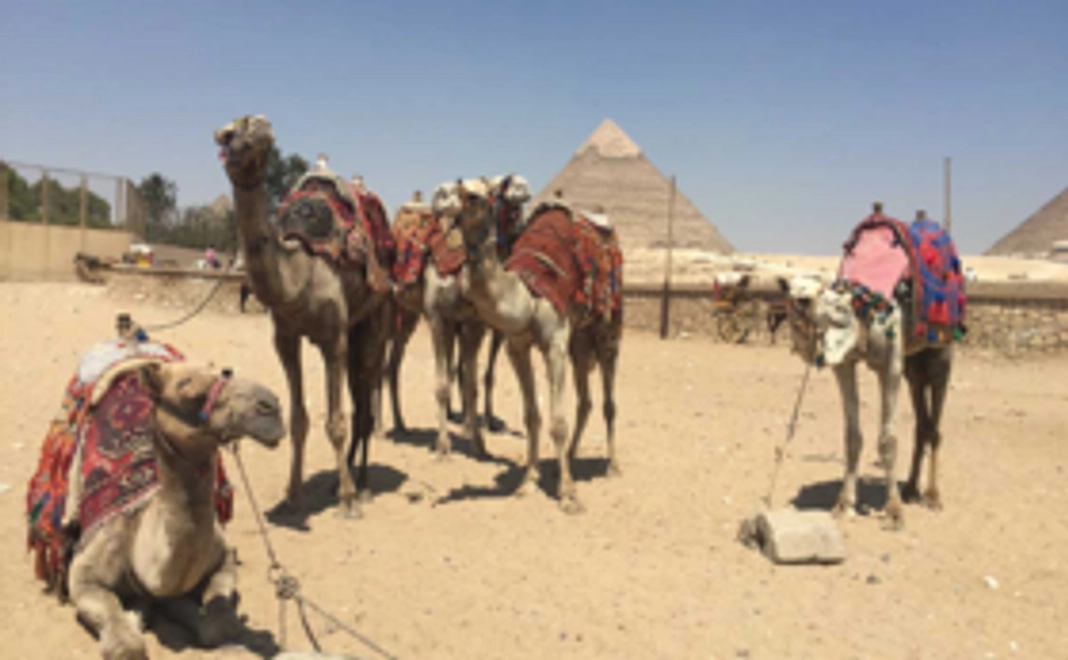 憧れの地エジプト、個人旅行サポート