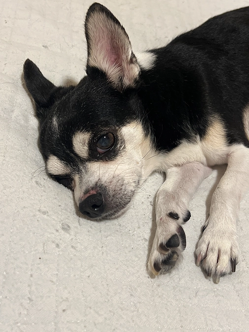 手術まであと30日‼︎