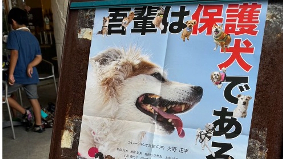 沖縄上映も大盛況！2回の上映共に満員御礼で終了しました！！