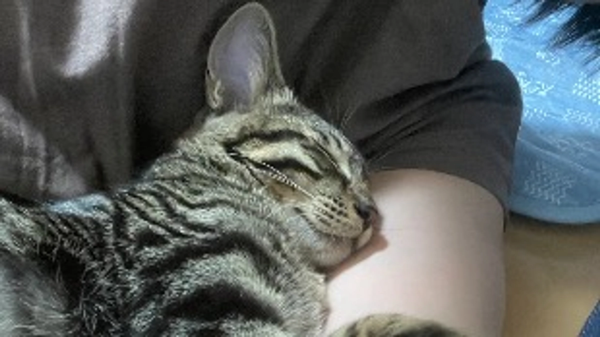 ご支援ありがとうございます😊🍀